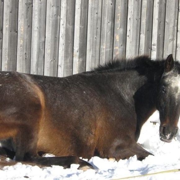 Meet your Posher, Janet - Picture 1 of 1